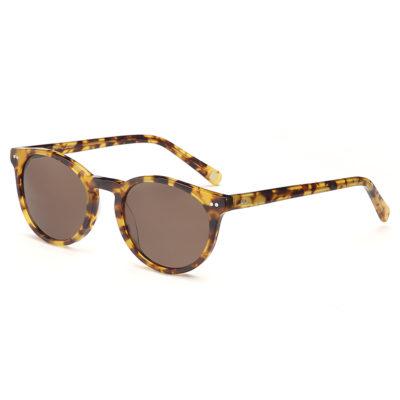 estilo sunglasses dalton c2
